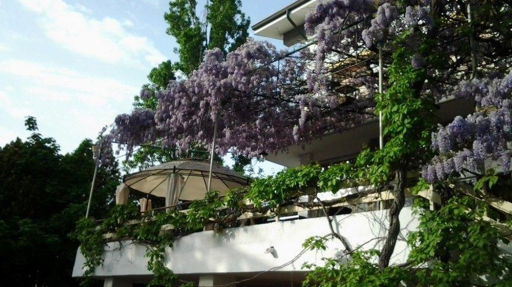 Hotel Ristorante Sole Múggia Kültér fotó